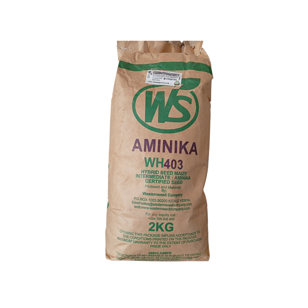 Aminika H403